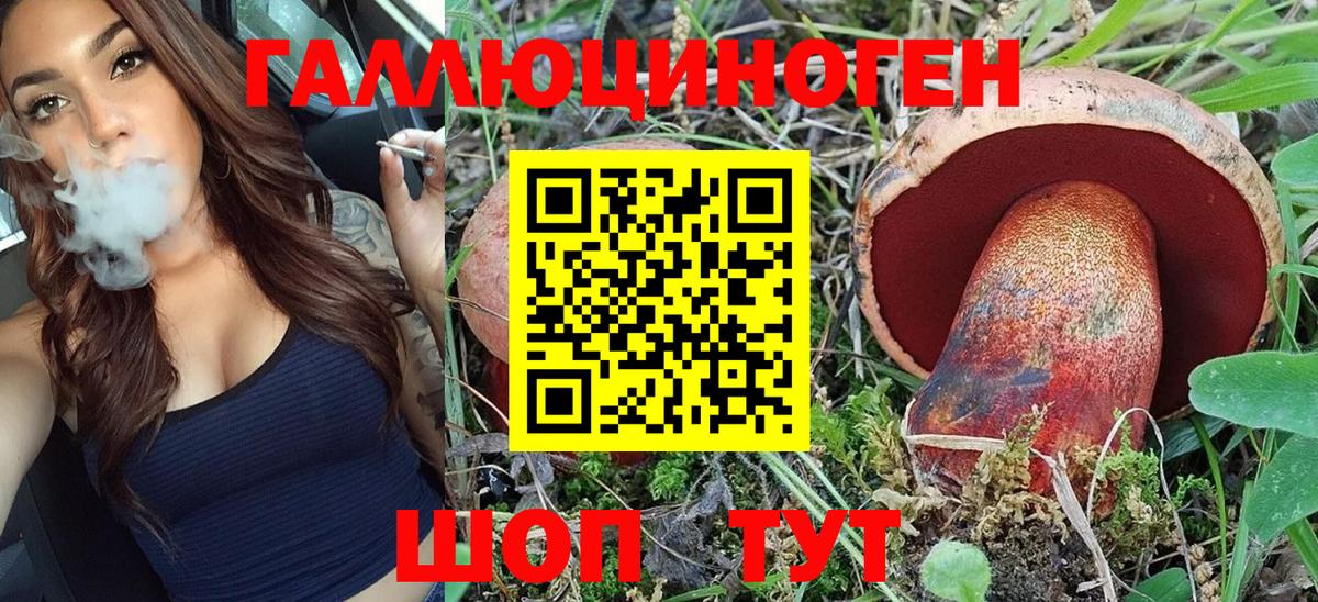 Псилоцибиновые грибы Psilocybe  Вход с VPN  Ижевск 